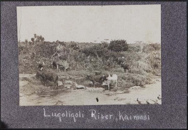 Blackburn Photo Album: Kenya, 1903-1916 Thumbnail